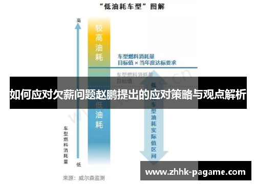 如何应对欠薪问题赵鹏提出的应对策略与观点解析 如何应对欠薪问题赵鹏提出的应对策略与观点解析
