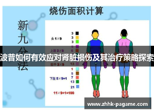 波普如何有效应对肾脏损伤及其治疗策略探索 波普如何有效应对肾脏损伤及其治疗策略探索